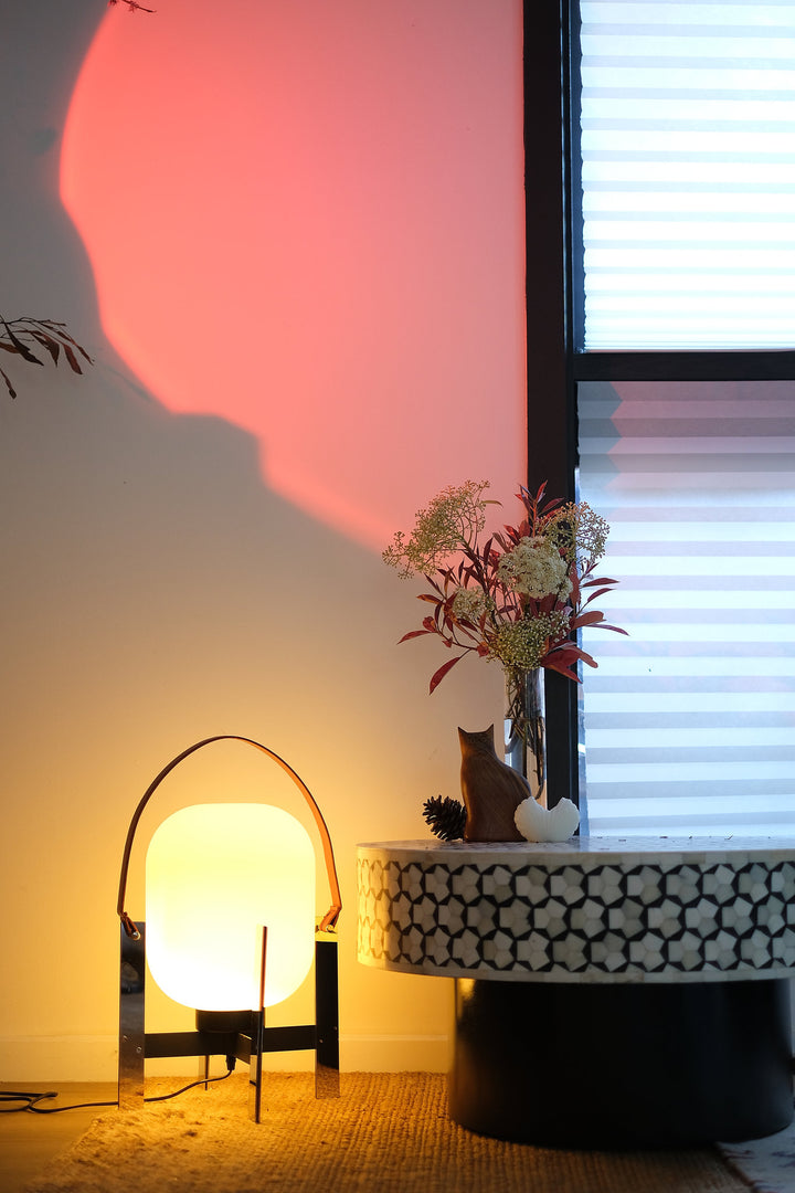 Alix Cesta Metalica Basket Lamp with chrome frame and opal glass globe with a warm glow next to a table with a vase of flowers and a cat, against a window with blinds.